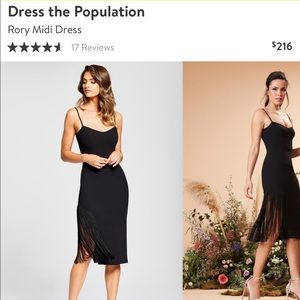 Dress the Population Cocktail/Evening Dress Sz M